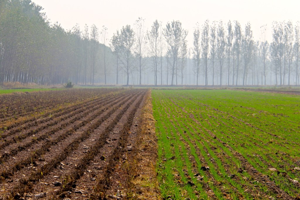 What Are We Working Toward?