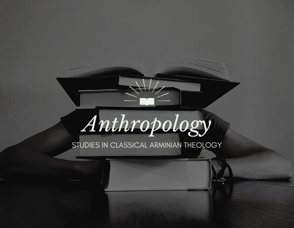 Studies in Free Will Baptist Theology:&nbsp;Anthropology