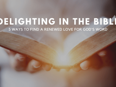 Delighting in the&nbsp;Bible