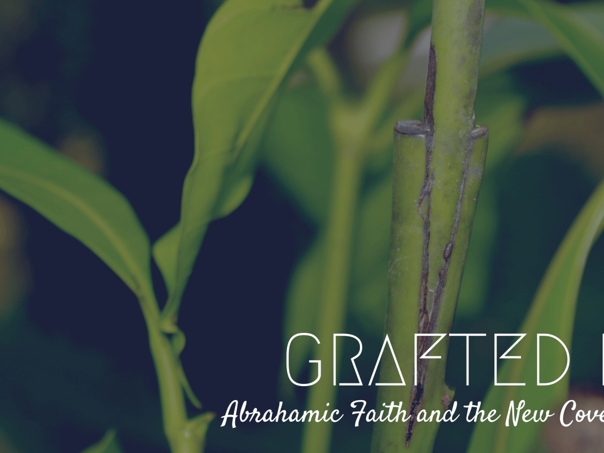 Grafted In: Abrahamic Faith and New Covenant&nbsp;Believers