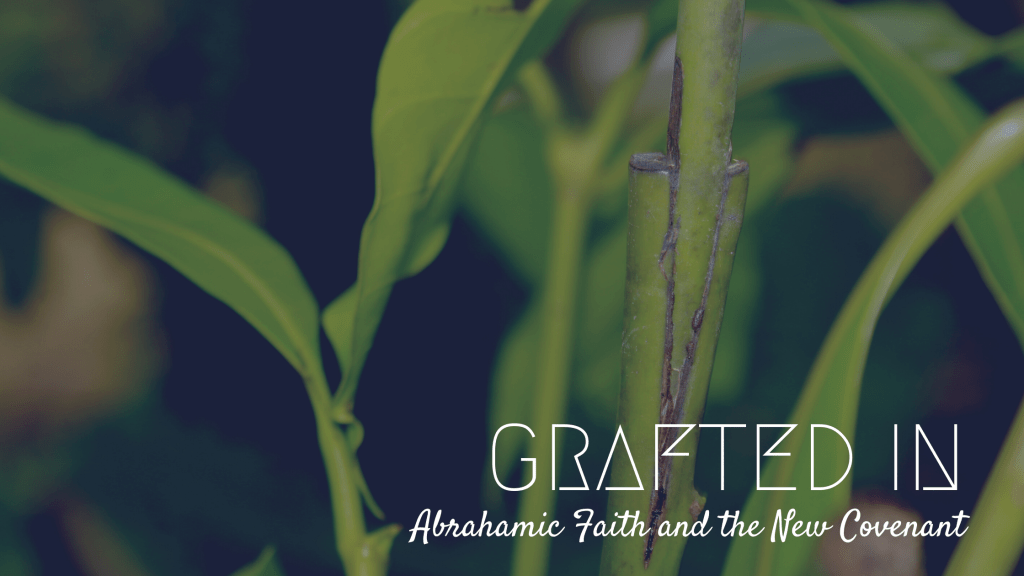 Grafted In: Abrahamic Faith and New Covenant&nbsp;Believers