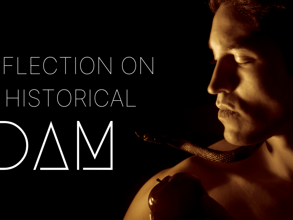 A Reflection on the Historical Adam-Part&nbsp;2