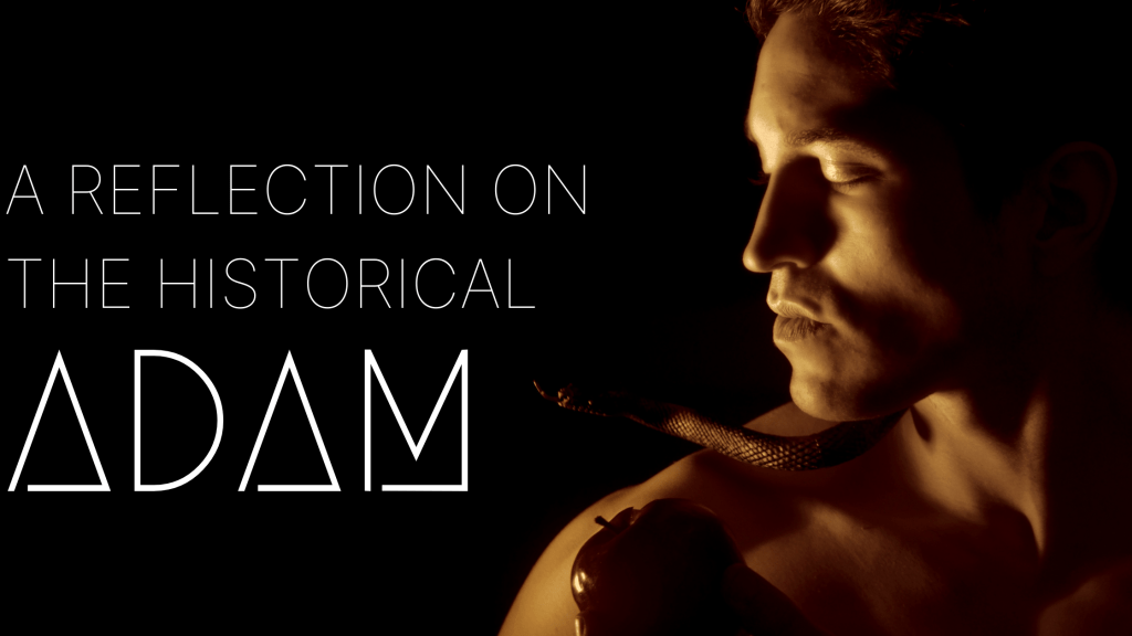 A Reflection on the Historical Adam-Part&nbsp;2