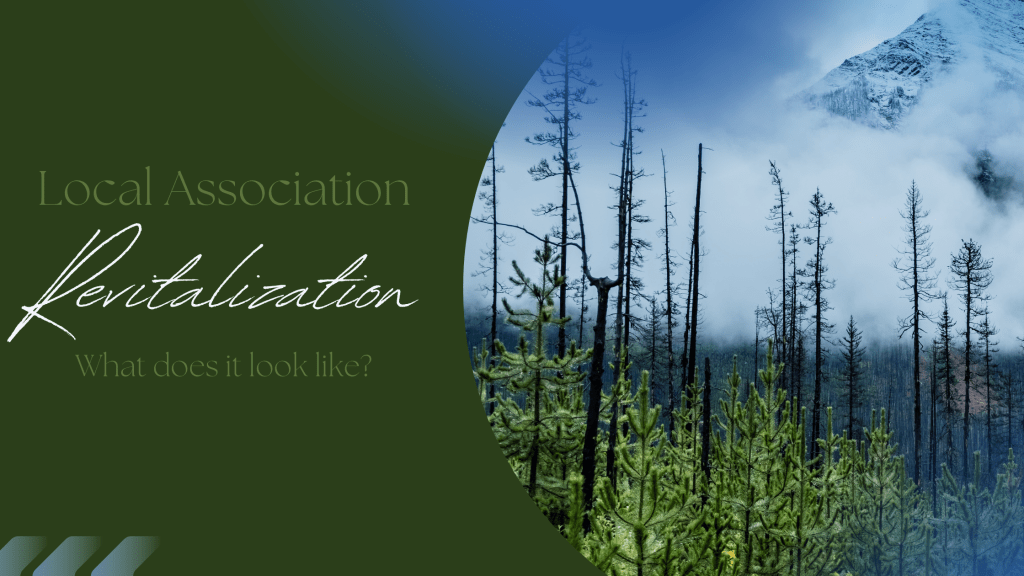 Local Association Revitalization: What Does It Look&nbsp;Like?