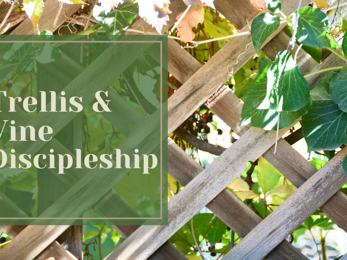 Trellis and Vine&nbsp;Discipleship