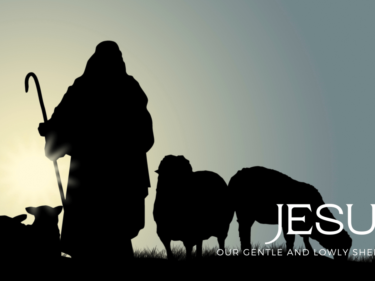 Jesus, Our Gentle and Lowly&nbsp;Shepherd