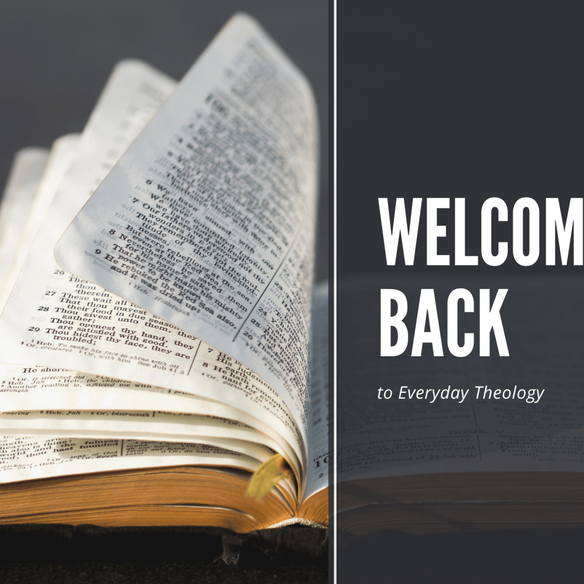 Welcome Back to Everyday&nbsp;Theology